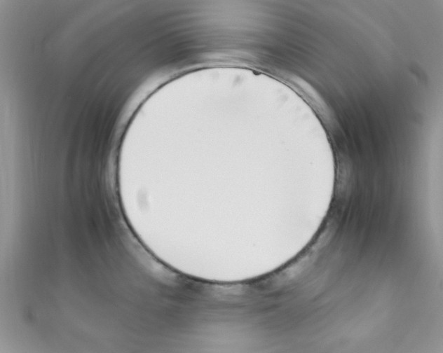 X0000110731196200907241221