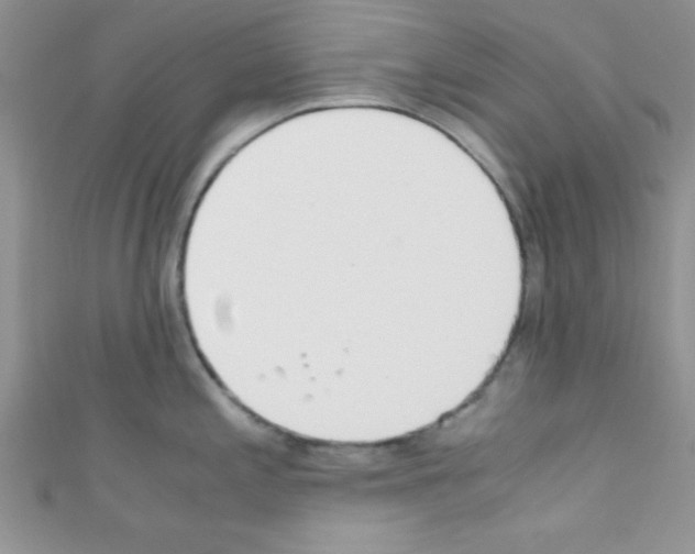 X0000110731197200907241221
