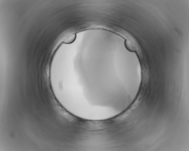 X0000110731198200907241221
