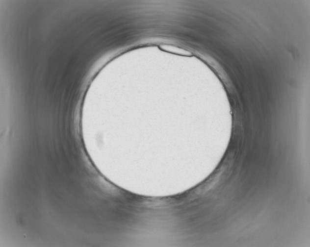 X0000110731199200907241221