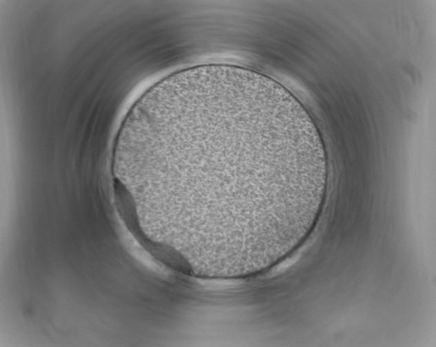 X0000110731200200907241221