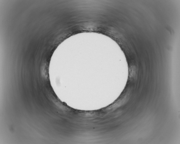X0000110731202200907241220