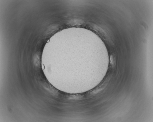 X0000110731203200907241220