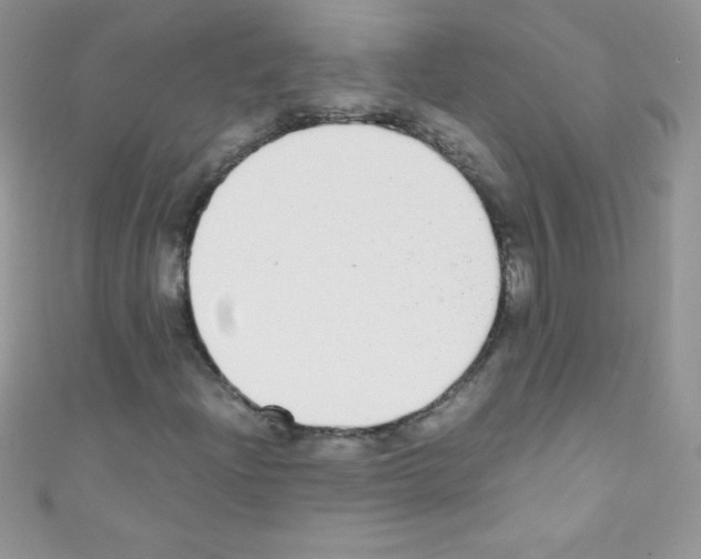 X0000110731204200907241220