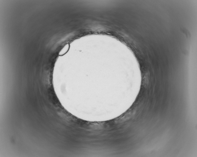 X0000110731205200907241220