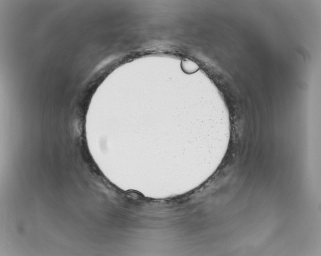 X0000110731206200907241220