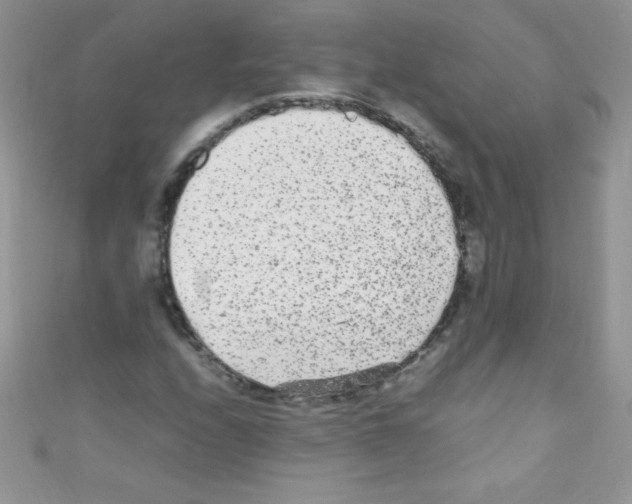 X0000110731208200907241220