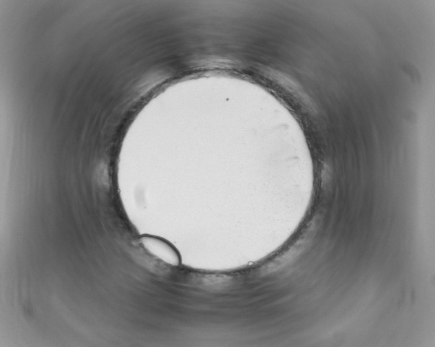 X0000110731209200907241220