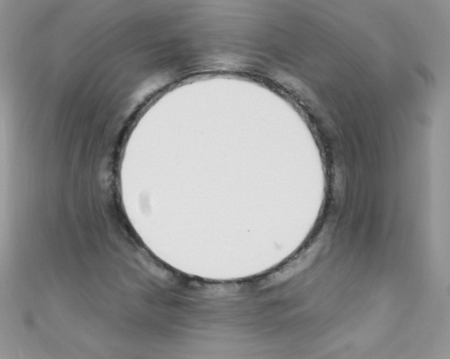 X0000110731210200907241220