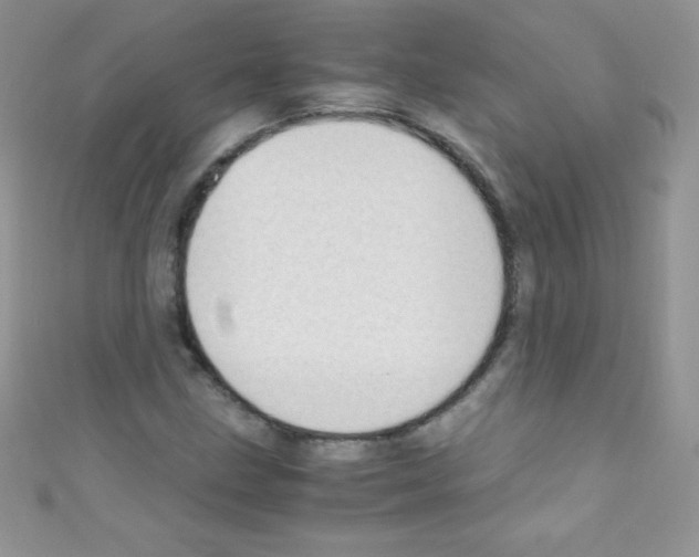 X0000110731211200907241220