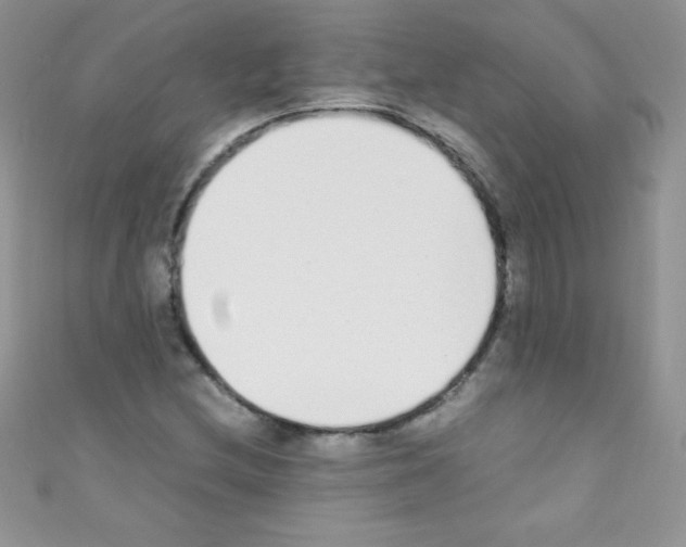 X0000110731212200907241221