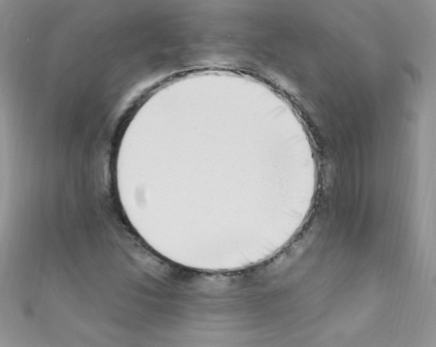 X0000110731214200907241221