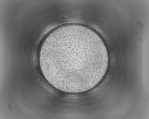 X0000110731215200907241221
