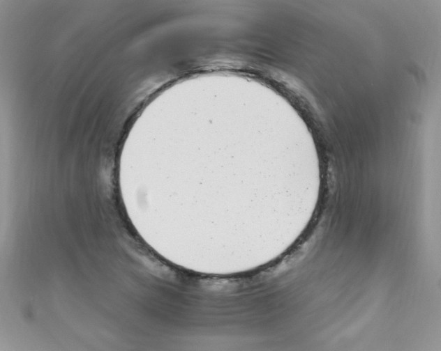 X0000110731217200907241221