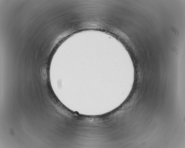 X0000110731218200907241221