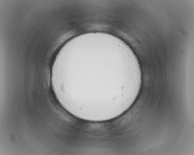 X0000110731219200907241221