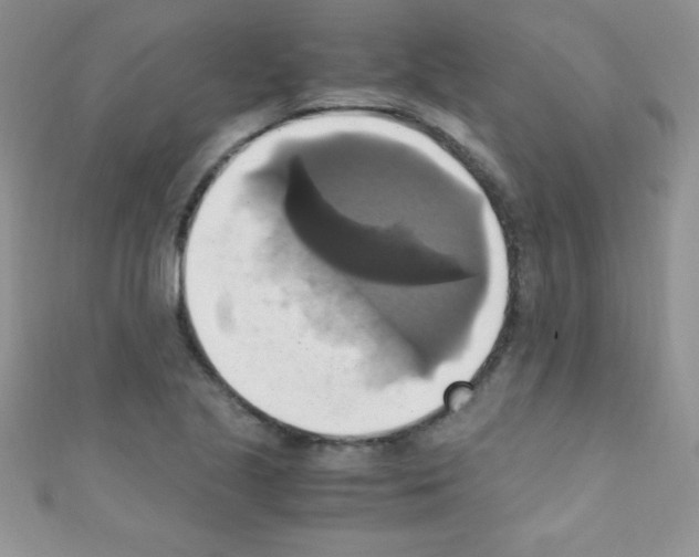X0000110731221200907241221