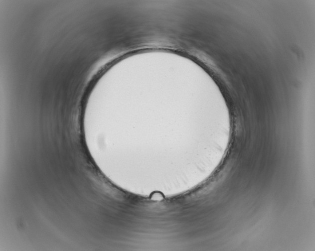 X0000110731222200907241221