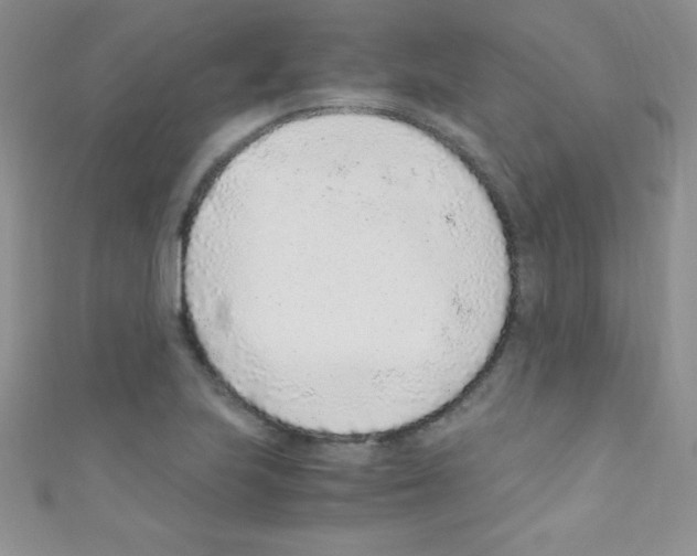 X0000110731223200907241221