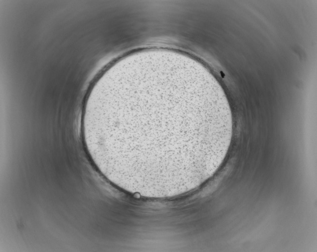 X0000110731224200907241221