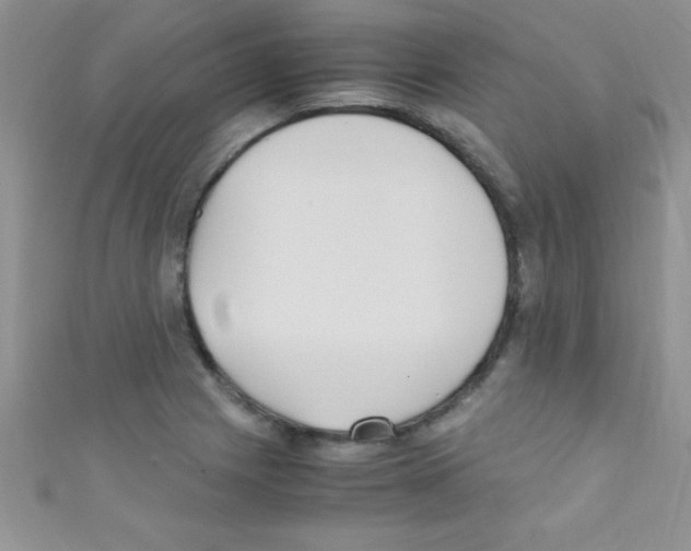X0000110731225200907241221