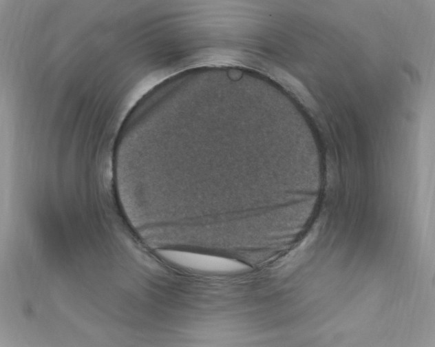 X0000110731226200907241221