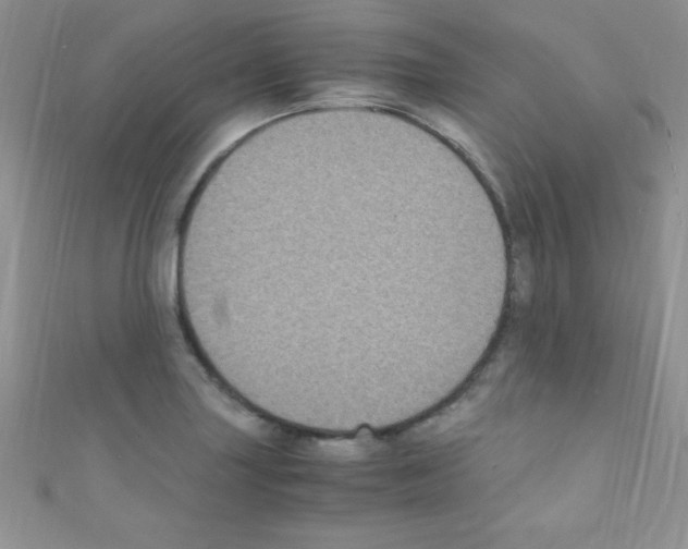 X0000110731227200907241221