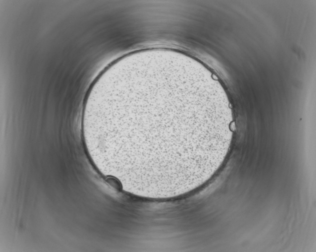 X0000110731228200907241221