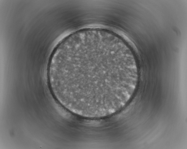 X0000110731229200907241221