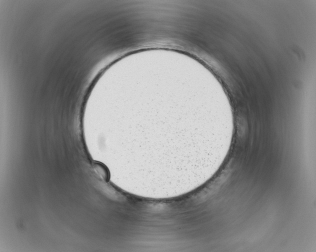 X0000110731230200907241221