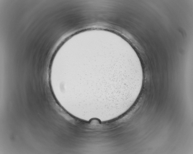 X0000110731232200907241221