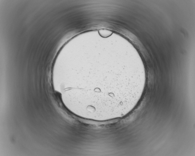 X0000110731234200907241221
