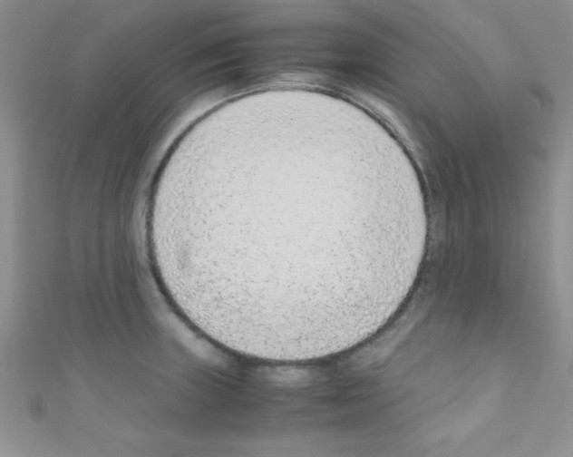 X0000110731235200907241221