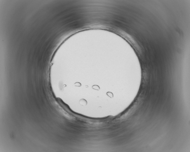 X0000110731236200907241221