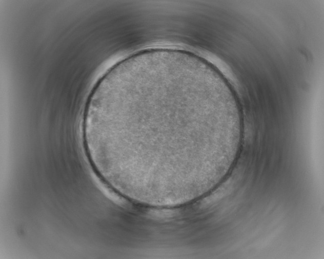 X0000110731237200907241221