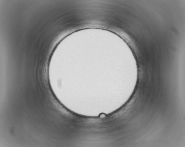 X0000110731238200907241221
