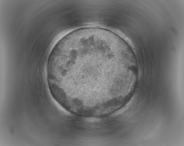 X0000110731239200907241221