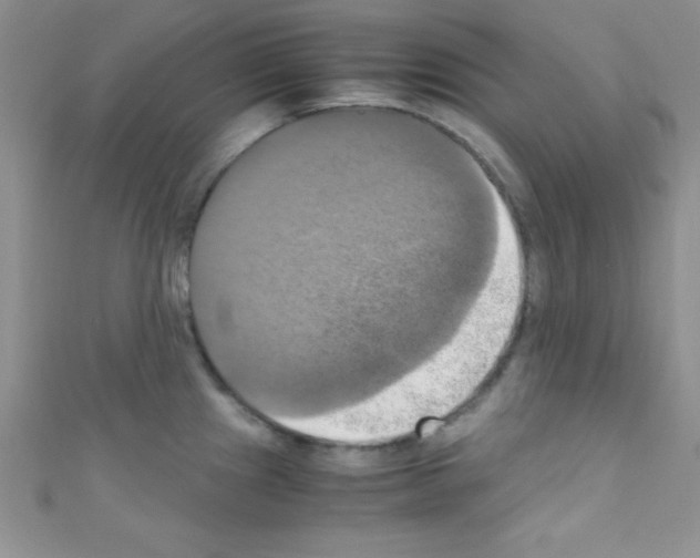 X0000110731241200907241221