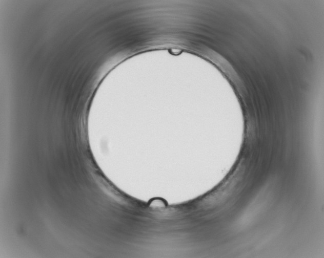X0000110731242200907241221