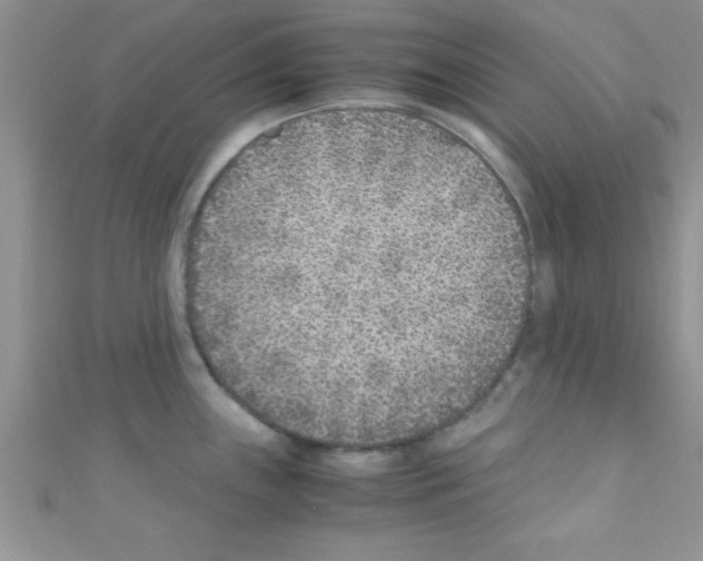 X0000110731243200907241221