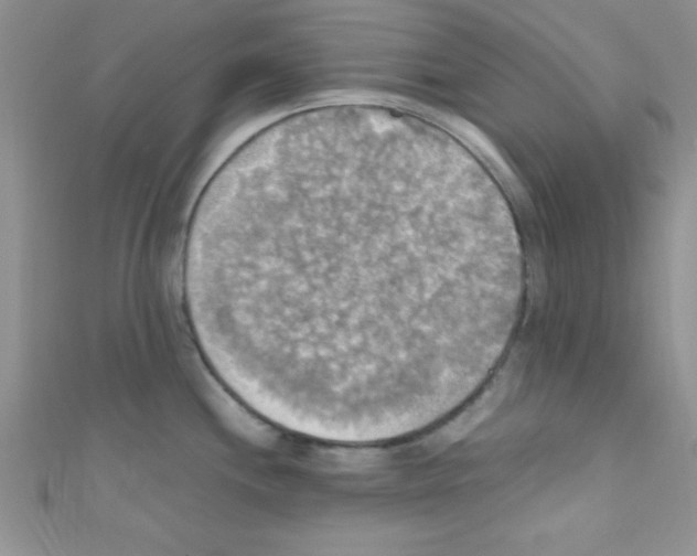 X0000110731244200907241221