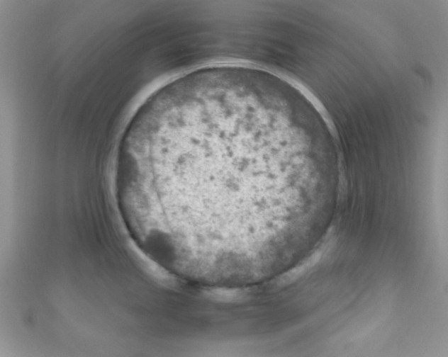 X0000110731245200907241221