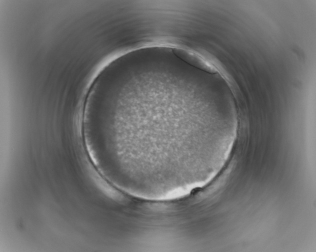 X0000110731246200907241221