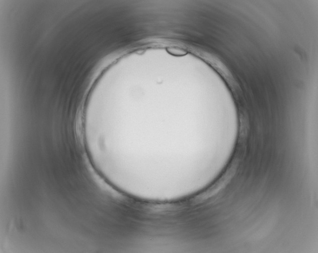 X0000110731247200907241221