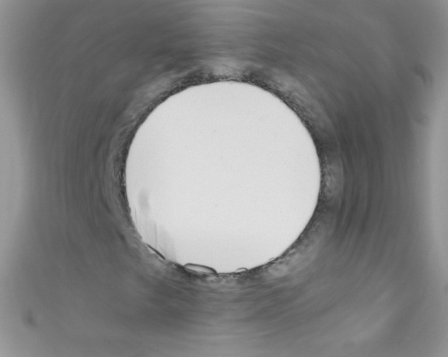 X0000110731249200907241220
