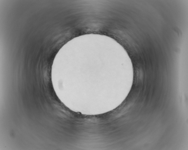 X0000110731250200907241220