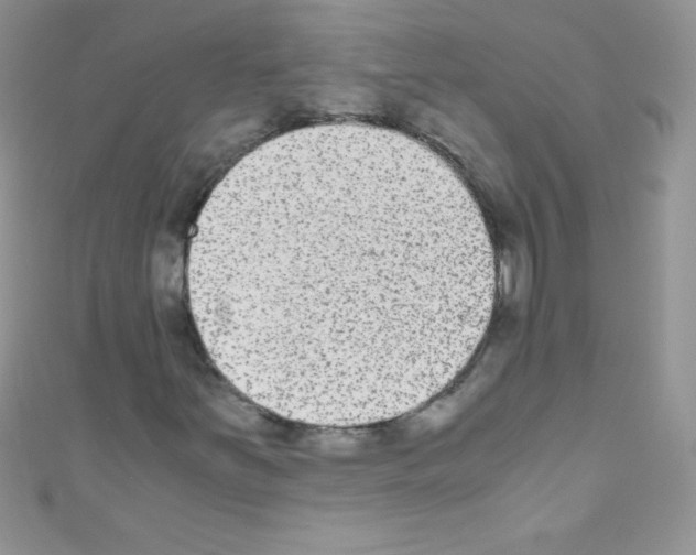 X0000110731251200907241220