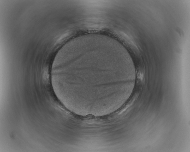 X0000110731252200907241220