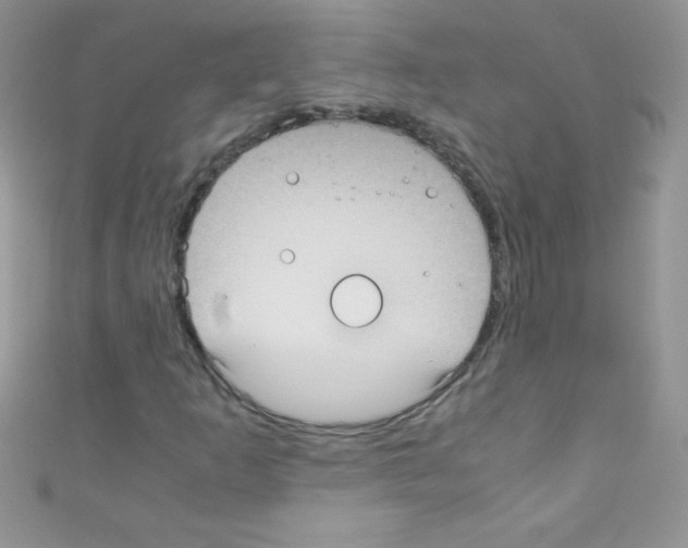 X0000110731253200907241220