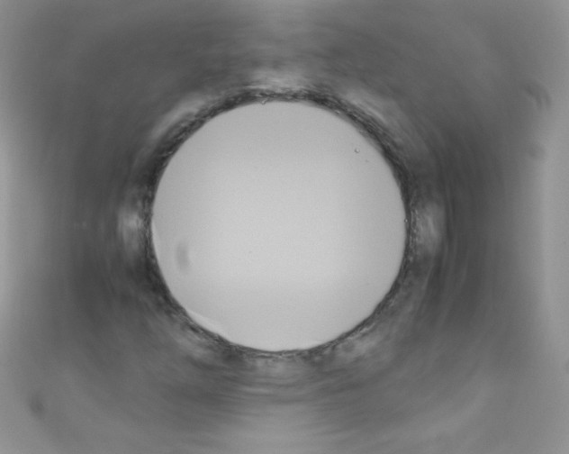 X0000110731254200907241220